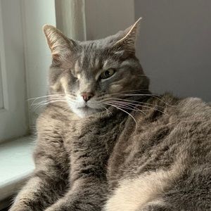 Meet your Posher, Marion